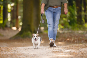 Beeztees Köpek Dışkı Toplama Poşeti Taşıma Çantası, Gri, 8x5x5cm - 7