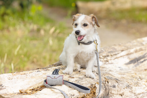 Beeztees Köpek Dışkı Toplama Poşeti Taşıma Çantası, Gri, 8x5x5cm - 6