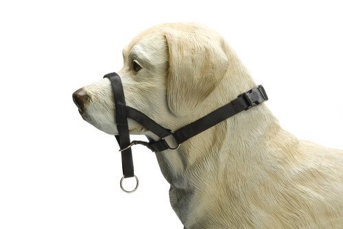 Beeztees Köpek Eğitim Tasması, Baş Kontrollu, Siyah, L - 1