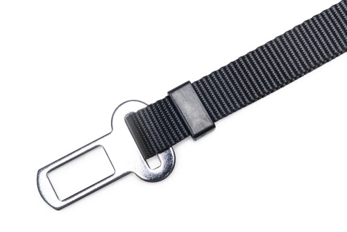 Beeztees Köpek Emniyet Kemeri, Siyah, M, 70x1,5cm - 4