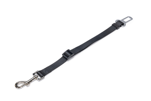 Beeztees Köpek Emniyet Kemeri, Siyah, S, 55x1,5cm - 1