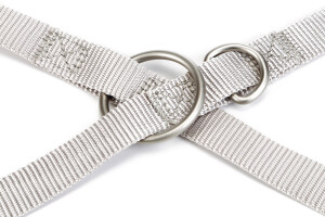 Beeztees Köpek Gezdirme Kayışı, Açık Gri, 120cm, 20mm - 3