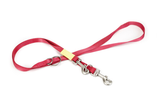 Beeztees Köpek Gezdirme Kayışı, Pembe, 200cm, 20mm - 1