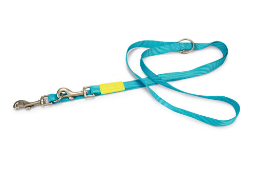 Beeztees Köpek Gezdirme Kayışı, Turkuaz, 200cm, 20mm - 1