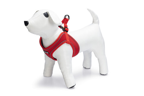 Beeztees Köpek Göğüs Tasması, Neopren, Kırmızı, M, 41-46cm - 1