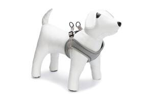 Beeztees Köpek Göğüs Tasması, Neopren,Gri, M, 41-46cm - 2