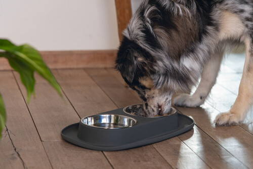 Beeztees Köpek İkili Mama ve Su Kabı, Paslanmaz Çelik, 40x24cm, 2x500ml - 3