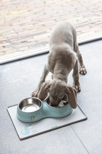 Beeztees Köpek İkili Mama ve Su Kabı, Paslanmaz Çelik, Turkuaz, 34x17,5cm, 2x350ml - 2