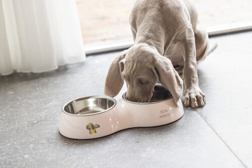 Beeztees Köpek Mama Su Kabı, Paslanmaz Çelik, Pudra Pembe, 18cm, 350ml - 2