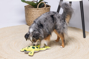 Beeztees Köpek Ödül Saklama Oyuncağı, Kurbağ, Peluş, Sarı, 31x20x7cm - 2