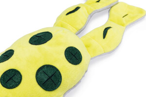 Beeztees Köpek Ödül Saklama Oyuncağı, Kurbağ, Peluş, Sarı, 31x20x7cm - 4