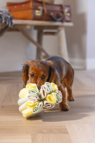 Beeztees Köpek Ödül Saklama Oyuncağı, Top, Polar, Gri/Yeşil, 13cm - 10