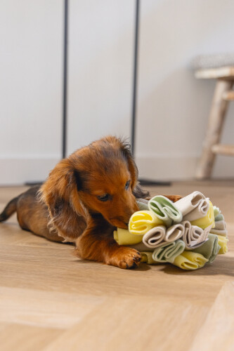 Beeztees Köpek Ödül Saklama Oyuncağı, Top, Polar, Gri/Yeşil, 13cm - 5