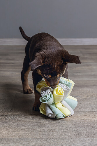 Beeztees Köpek Ödül Saklama Oyuncağı, Top, Polar, Gri/Yeşil, 13cm - 7