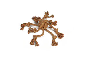 Beeztees Köpek Oyuncağı, Diş İpi Ahtapot Şeklinde, Pamuk İplerden, 32cm - Beeztees