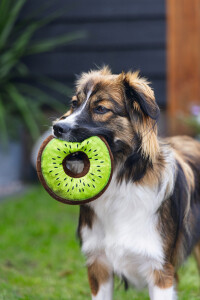 Beeztees Köpek Oyuncağı, Donut, Peluş, Çeşitli Renklerde, 12x12x5cm - 10