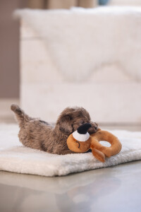 Beeztees Köpek Oyuncağı, Peluş, Kahverengi, 16x18x8,5cm - 7