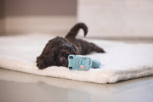 Beeztees Köpek Oyuncağı, Peluş, Turkuaz, 16x18x8,5cm - 5