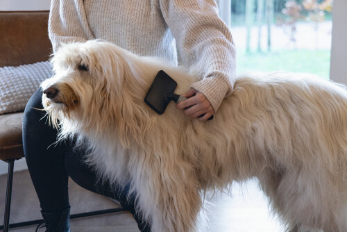 Beeztees Köpek Tarağı, Kolay Tarama, SM, Siyah Gri, 18cm, 18x10x2cm - 3