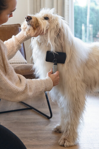 Beeztees Köpek Tarağı, Kolay Tarama, SM, Siyah Gri, 19cm, 19x12x4cm - 4