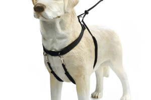 Beeztees Köpek Yürüyüş Eğitim ve Düzeltme Tasması, L - 4