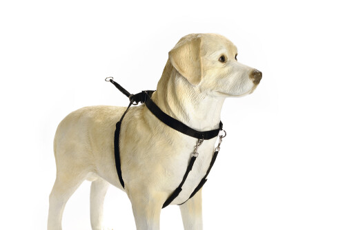 Beeztees Köpek Yürüyüş Eğitim ve Düzeltme Tasması, M - 1