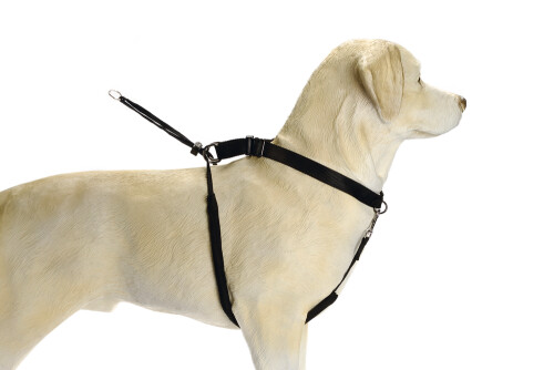 Beeztees Köpek Yürüyüş Eğitim ve Düzeltme Tasması, M - 2