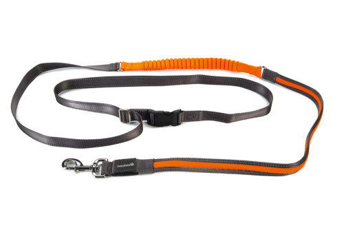 Beeztees Köpek Yürüyüş ve Koşu Şok Emicili Gezdirme Kayışı ve Bel Kemeri, Gri, 180-200cm, 25mm - 1