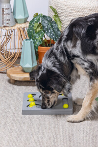 Beeztees Köpek Zeka Geliştirme Oyuncağı, 28x28x4,5cm - 2