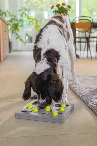 Beeztees Köpek Zeka Geliştirme Oyuncağı, 28x28x4,5cm - 6