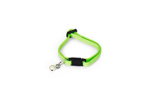 Beeztees Yavru Kedi Boyun Tasması, Zilli, Parlak Yeşil, 15-22cm - 1
