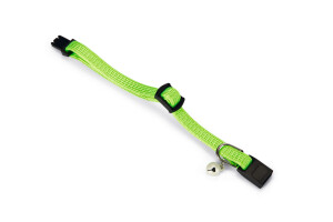 Beeztees Yavru Kedi Boyun Tasması, Zilli, Parlak Yeşil, 15-22cm - 3