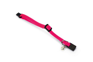 Beeztees Yavru Kedi Boyun Tasması, Zilli, Pembe, 15-22cm - 3