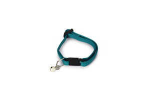 Beeztees Yavru Kedi Boyun Tasması, Zilli, Yeşil, 15-22cm - Beeztees