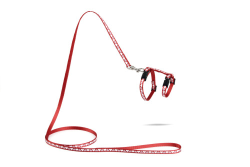 Beeztees Yavru Kedi Göğüs Tasması ve Gezdirme Kayışı 120cm, Kırmızı, 16-25cm Boyun, 23-36cm Göğüs - 1