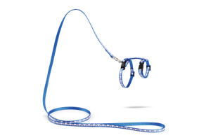 Beeztees Yavru Kedi Göğüs Tasması ve Gezdirme Kayışı 120cm, Mavi, 16-25cm Boyun, 23-36cm Göğüs - Beeztees