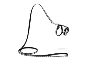 Beeztees Yavru Kedi Göğüs Tasması ve Gezdirme Kayışı 120cm, Siyah, 16-25cm Boyun, 23-36cm Göğüs - Beeztees