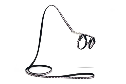 Beeztees Yavru Kedi Göğüs Tasması ve Gezdirme Kayışı 120cm, Siyah, 16-25cm Boyun, 23-36cm Göğüs - 1