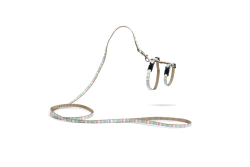 Beeztees Yavru Kedi Göğüs Tasması ve Gezdirme Kayışı, 120cm, Yeşil, 15-33cm - 1