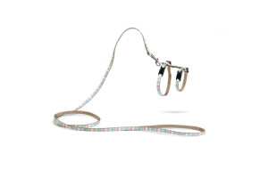 Beeztees Yavru Kedi Göğüs Tasması ve Gezdirme Kayışı, 120cm, Yeşil, 15-33cm - Beeztees