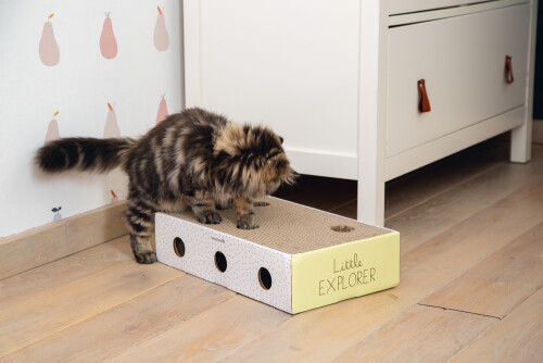 Beeztees Yavru Kedi Karton Tırmalama ve Oyuncağı, 25x42x10cm - 2