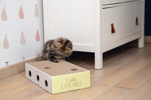 Beeztees Yavru Kedi Karton Tırmalama ve Oyuncağı, 25x42x10cm - 4