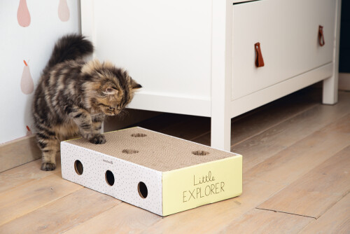 Beeztees Yavru Kedi Karton Tırmalama ve Oyuncağı, 25x42x10cm - 6