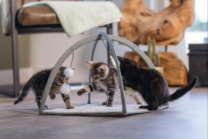 Beeztees Yavru Kedi Oyun Parkı, 40x40x33cm - 5