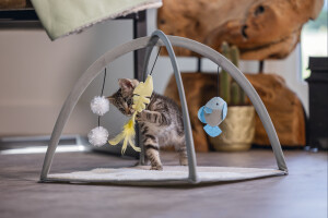 Beeztees Yavru Kedi Oyun Parkı, 40x40x33cm - 2