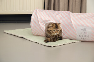Beeztees Yavru Kedi Oyun Tüneli, 60x24x24cm - 2