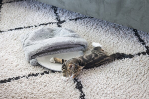 Beeztees Yavru Kedi Oyun Yatağı, Oyuncaklı, 50x40x15cm - 3