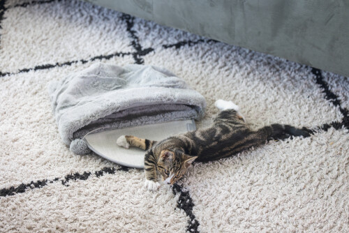 Beeztees Yavru Kedi Oyun Yatağı, Oyuncaklı, 50x40x15cm - 3