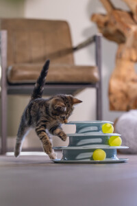 Beeztees Yavru Kedi Oyuncağı, 3 Katlı, 25x25x13cm - 3