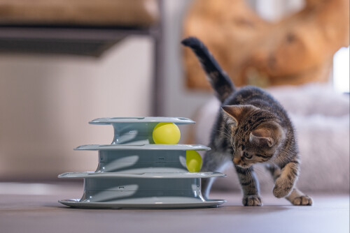 Beeztees Yavru Kedi Oyuncağı, 3 Katlı, 25x25x13cm - 6